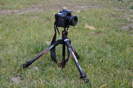 165601540479.png #169 (3).png