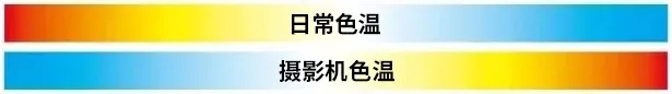 165839238266.png #163 (2).png