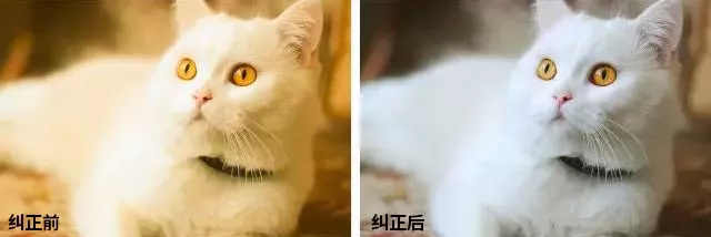 165854117687.png #163 (3).png