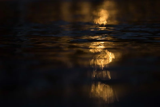 113648292185.png A Guide To Surf Photography 04.png