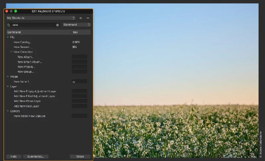 165622843121.png Capture One 12 06.png