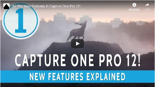 165728806372.png Capture One 12 VIDEO 03.png