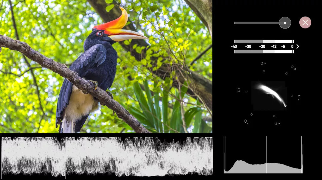 164936671941.png 图片2.png