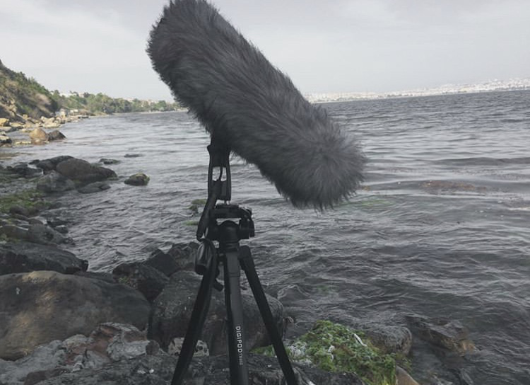 160334139108.png 图片3.png