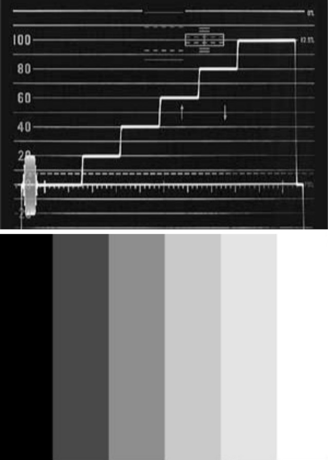 161312800434.png 图片2.png