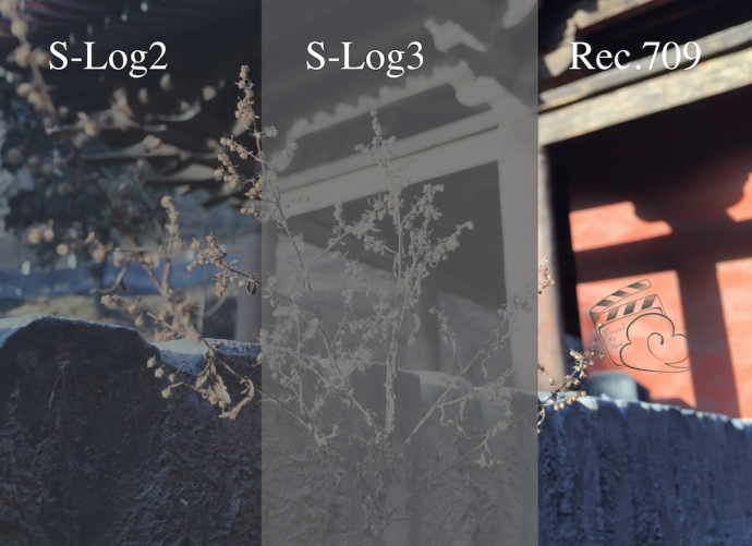 165739650425.png 图片5.png