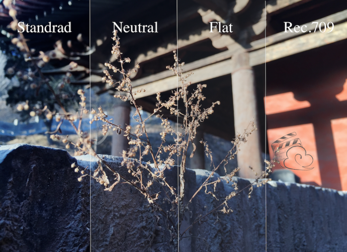 165852112936.png 图片11.png